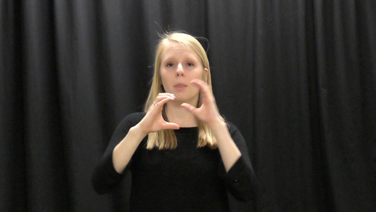 Deaf Studies Minor